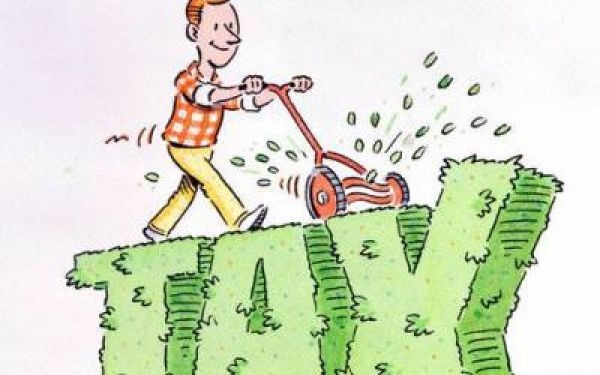 Payment of dividends by the goods: what are the tax consequences?