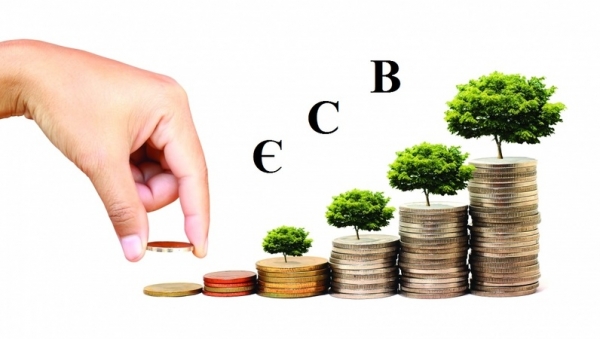 The proportions of distribution of the Single Contribution Tax have changed