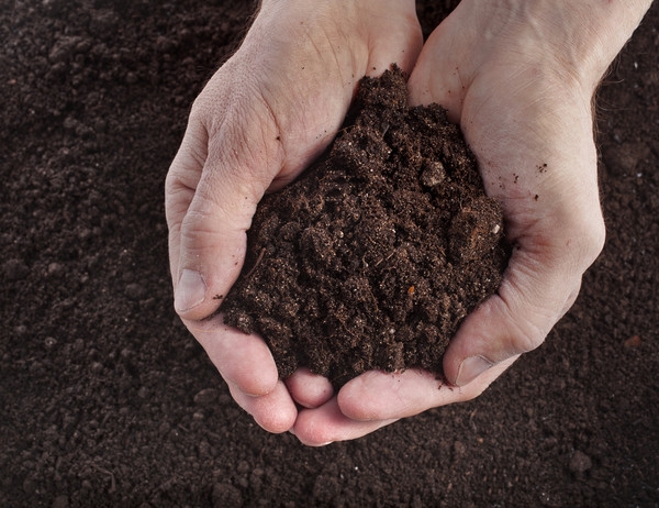 A land plot can be registered online