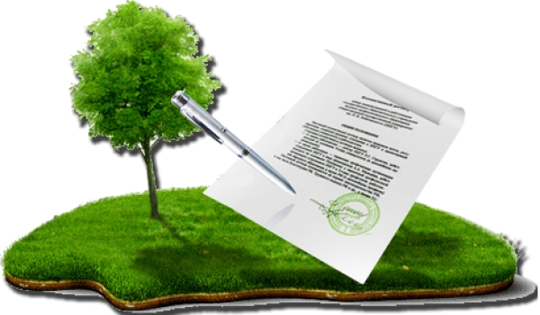 The Concession Law came into force: what does it envisage?